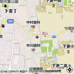 茨城県下妻市下妻乙319-16周辺の地図