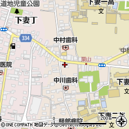 茨城県下妻市下妻乙319周辺の地図