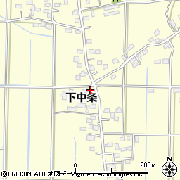 埼玉県行田市下中条599周辺の地図