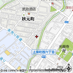 埼玉県深谷市秋元町12周辺の地図