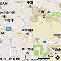 茨城県下妻市下妻乙298-3周辺の地図