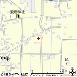 埼玉県行田市下中条372周辺の地図