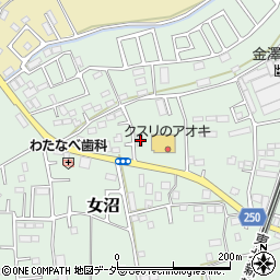 茨城県古河市女沼1641周辺の地図