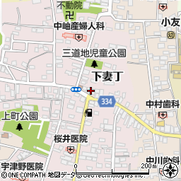 茨城県下妻市下妻丁117周辺の地図