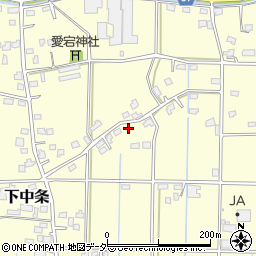 埼玉県行田市下中条369周辺の地図