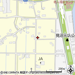 埼玉県行田市下中条419周辺の地図