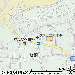 茨城県古河市女沼1640周辺の地図