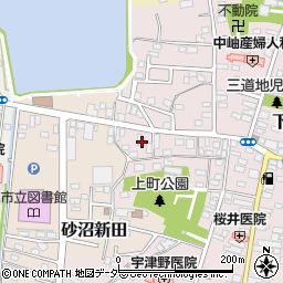 茨城県下妻市下妻丁205-11周辺の地図