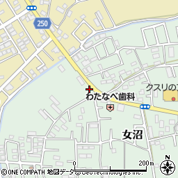 茨城県古河市女沼955周辺の地図