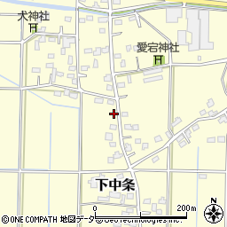 埼玉県行田市下中条984周辺の地図