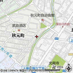 埼玉県深谷市秋元町22周辺の地図