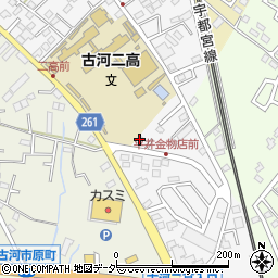 茨城県古河市幸町21-43周辺の地図