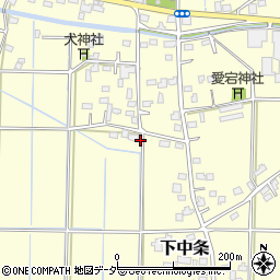 埼玉県行田市下中条571周辺の地図