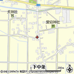 埼玉県行田市下中条808周辺の地図
