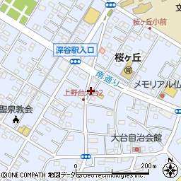 埼玉県深谷市上野台2944周辺の地図