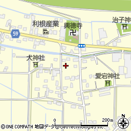 埼玉県行田市下中条819周辺の地図