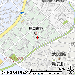 埼玉県深谷市桜ケ丘144周辺の地図