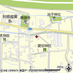埼玉県行田市下中条524周辺の地図