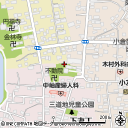 茨城県下妻市下妻乙197周辺の地図