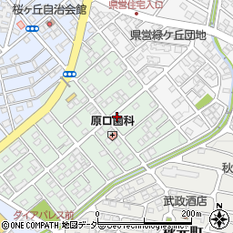 埼玉県深谷市桜ケ丘73周辺の地図
