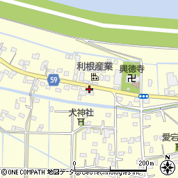 埼玉県行田市下中条1611周辺の地図
