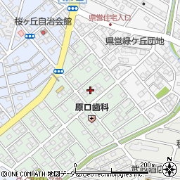 埼玉県深谷市桜ケ丘55周辺の地図