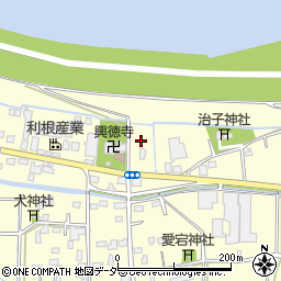 埼玉県行田市下中条1625周辺の地図