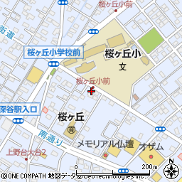 埼玉県深谷市上野台2897周辺の地図