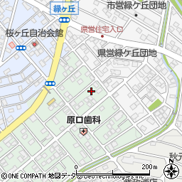 埼玉県深谷市桜ケ丘46周辺の地図