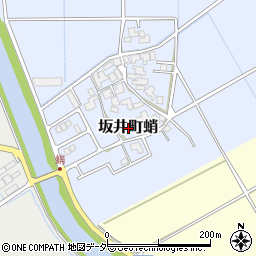 福井県坂井市坂井町蛸周辺の地図
