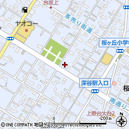 埼玉県深谷市上野台3005周辺の地図