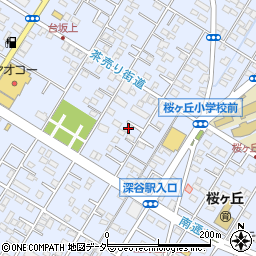 埼玉県深谷市上野台3009周辺の地図