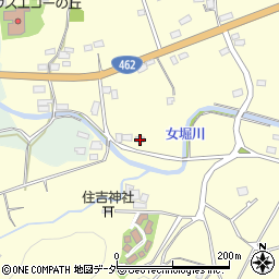 埼玉県本庄市児玉町飯倉213周辺の地図