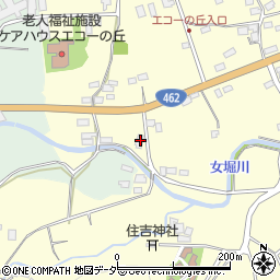 埼玉県本庄市児玉町飯倉204周辺の地図