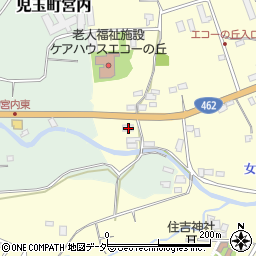 埼玉県本庄市児玉町飯倉183周辺の地図