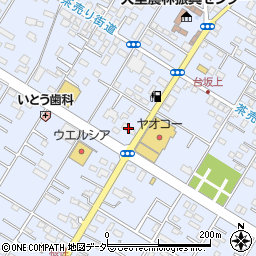 埼玉県深谷市上野台3176周辺の地図