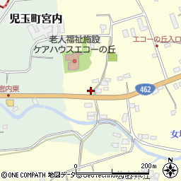 埼玉県本庄市児玉町飯倉191周辺の地図