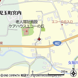 埼玉県本庄市児玉町飯倉193周辺の地図
