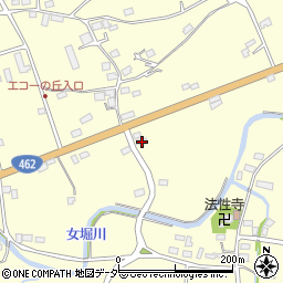 埼玉県本庄市児玉町飯倉219周辺の地図