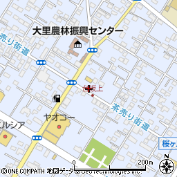 埼玉県深谷市上野台259周辺の地図