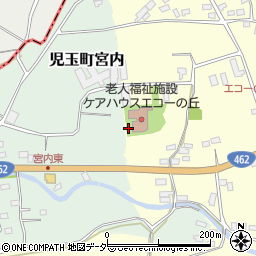 埼玉県本庄市児玉町飯倉166周辺の地図