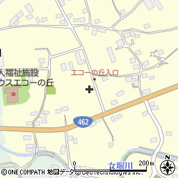 埼玉県本庄市児玉町飯倉131周辺の地図