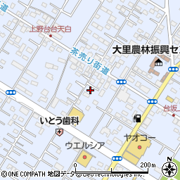 埼玉県深谷市上野台3317周辺の地図