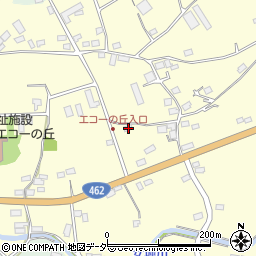 埼玉県本庄市児玉町飯倉274周辺の地図