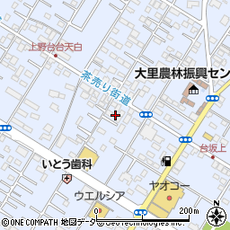 埼玉県深谷市上野台3318周辺の地図