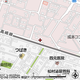 埼玉県深谷市国済寺295周辺の地図