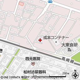 埼玉県深谷市国済寺315-17周辺の地図