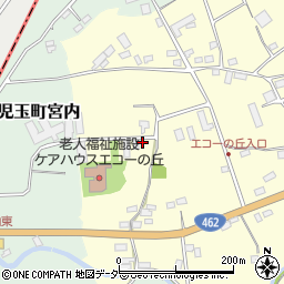 埼玉県本庄市児玉町飯倉154周辺の地図