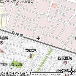 埼玉県深谷市国済寺293周辺の地図