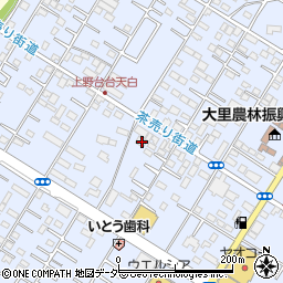 埼玉県深谷市上野台3324周辺の地図
